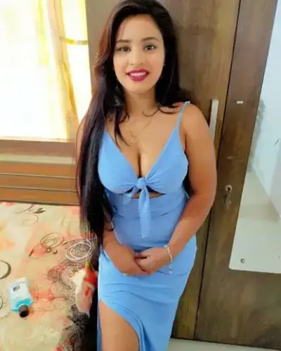 Venkatagiri Escorts